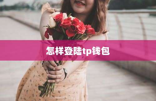怎样登陆tp钱包