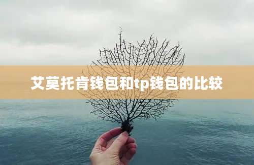 艾莫托肯钱包和tp钱包的比较
