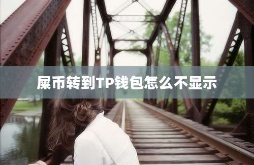 屎币转到TP钱包怎么不显示