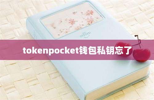 tokenpocket钱包私钥忘了