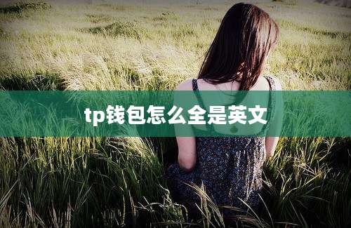 tp钱包怎么全是英文