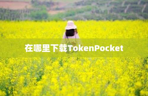 在哪里下载TokenPocket