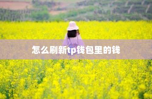 怎么刷新tp钱包里的钱